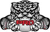 PRO Esports
