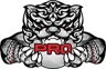 PRO Esports